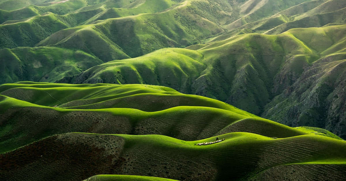 2025'te Gürcistan'ın Zengin Kültürel Mirası: Borjomi'de Gelenekler, Mutfak, Festivaller ve Müzik